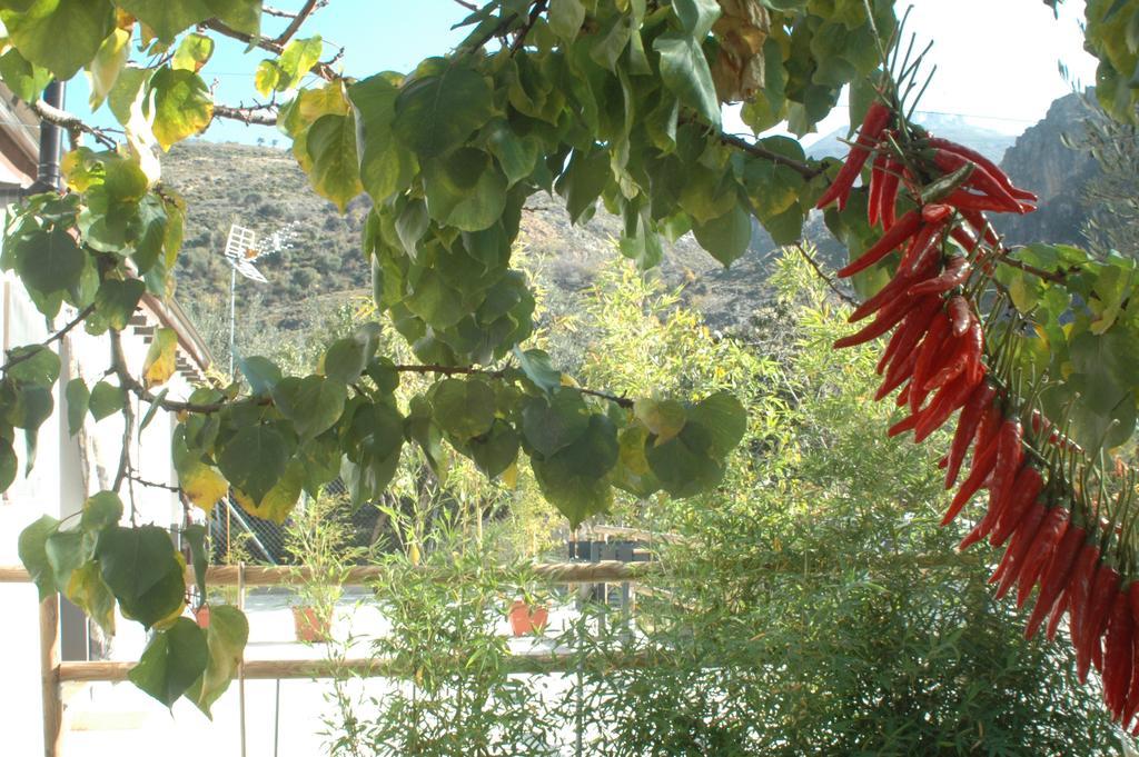 Cortijo Los Cahorros Sierra Nevada Monachil Exterior foto