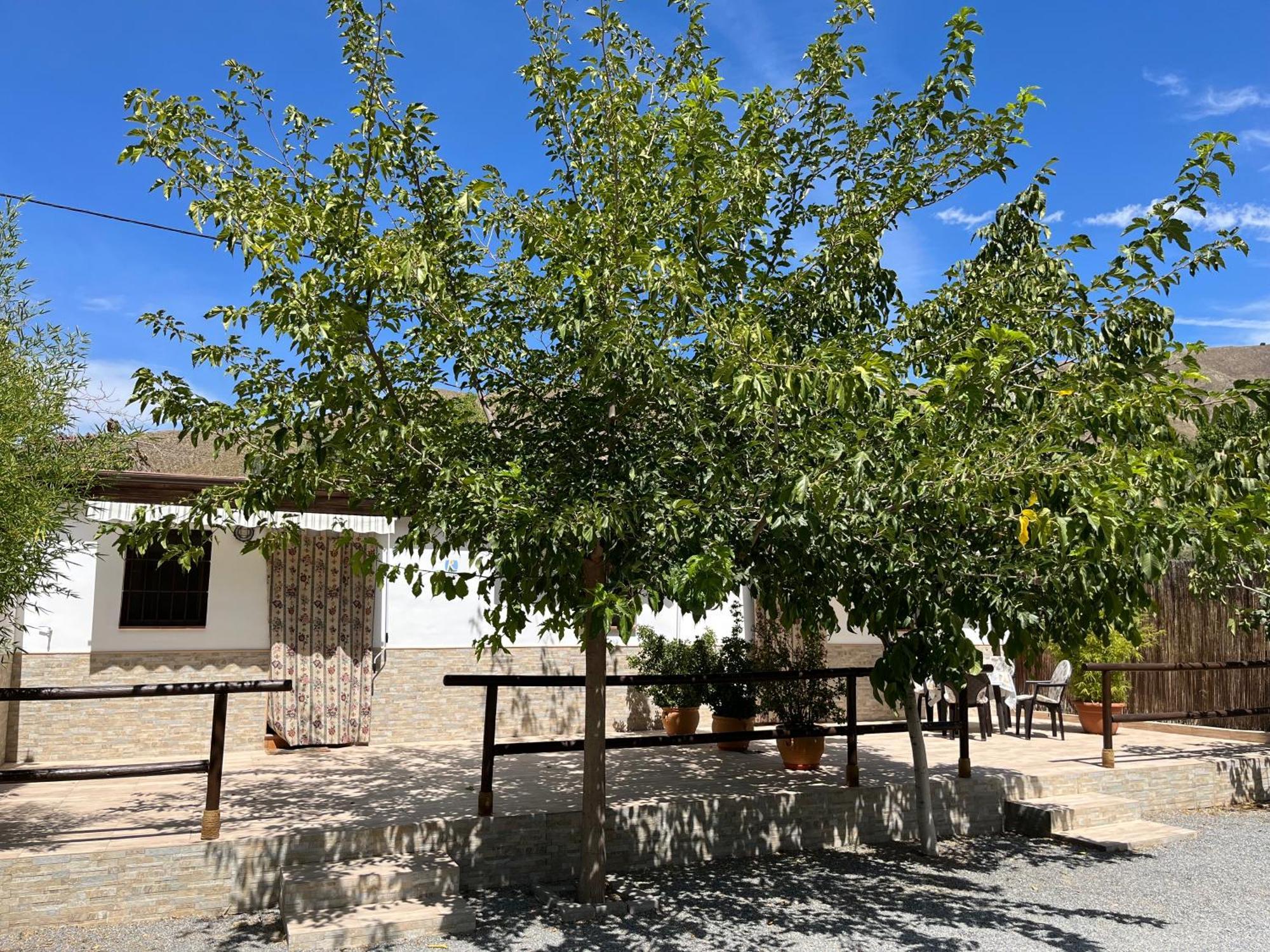Cortijo Los Cahorros Sierra Nevada Monachil Exterior foto